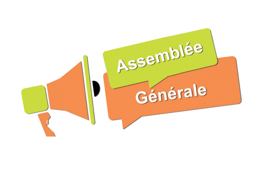 Assemblée générale de région