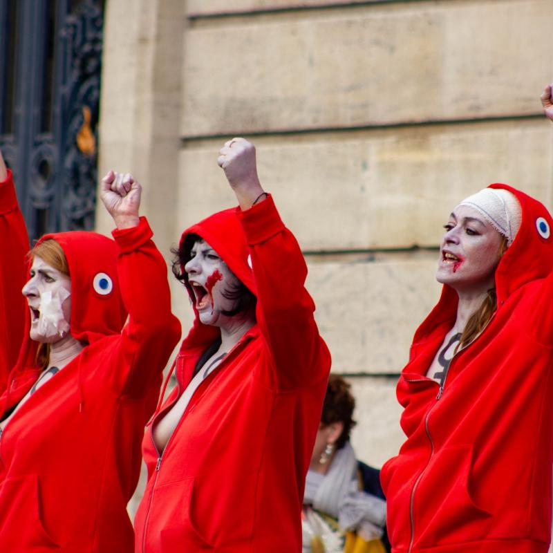 Manif Gilets Jaunes Acte 17 09 03 2019 22